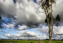 球权不多导致得分减少？但湖人后场大将在防守端的贡献度并不低？.